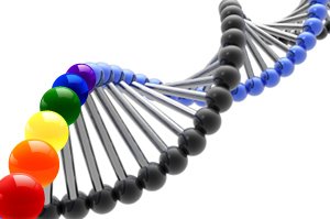 DNA raimbow